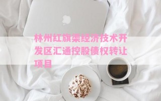 林州红旗渠经济技术开发区汇通控股债权转让项目