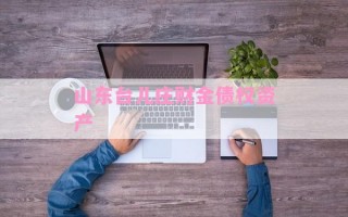 山东台儿庄财金债权资产