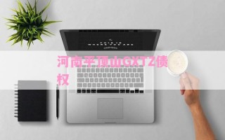 河南平顶山GXTZ债权