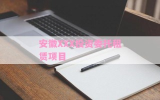 安徽XXX投资委托租赁项目
