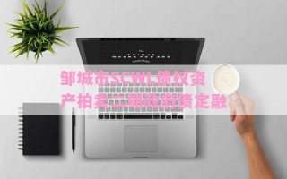 邹城市SCWL债权资产拍卖二期政府债定融