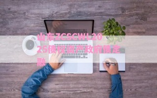 山东ZCSCWL2025债权资产政府债定融
