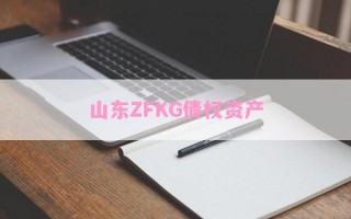 山东ZFKG债权资产
