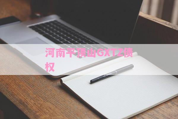 河南平顶山GXTZ债权-第1张图片-经验预警网