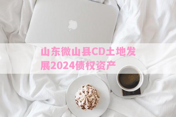 山东微山县CD土地发展2024债权资产-第1张图片-经验预警网