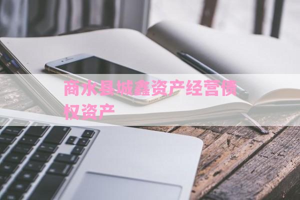 商水县城鑫资产经营债权资产-第1张图片-经验预警网