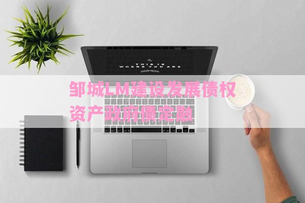 邹城LM建设发展债权资产政府债定融-第1张图片-经验预警网