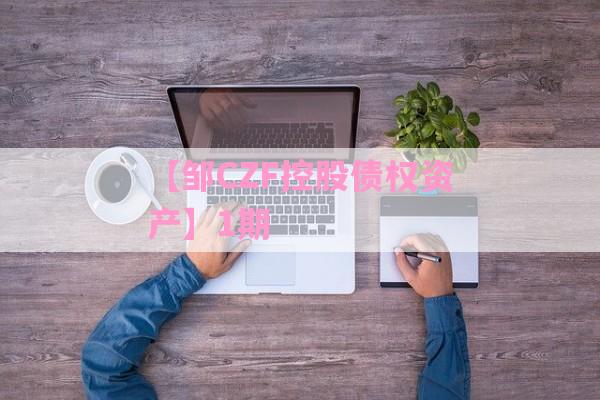 【邹CZF控股债权资产】1期-第1张图片-经验预警网