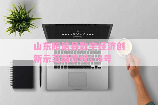 山东阳信县数字经济创新示范园债权1-4号-第1张图片-经验预警网