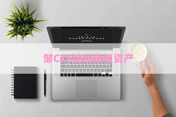 邹CZF控股债权资产-第1张图片-经验预警网