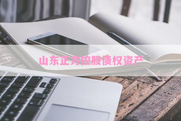 山东正方控股债权资产-第1张图片-经验预警网