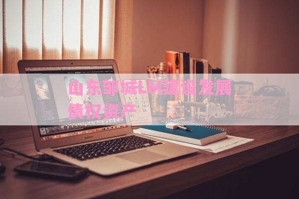 山东邹城LM建设发展债权资产-第1张图片-经验预警网