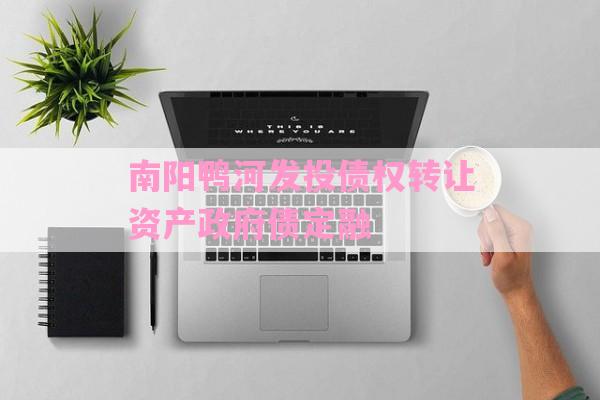 南阳鸭河发投债权转让资产政府债定融-第1张图片-经验预警网