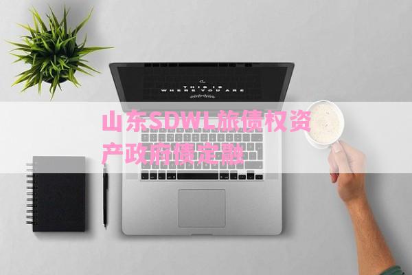 山东SDWL旅债权资产政府债定融-第1张图片-经验预警网