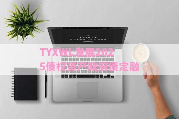 TYXWL发展2025债权资产政府债定融-第1张图片-经验预警网