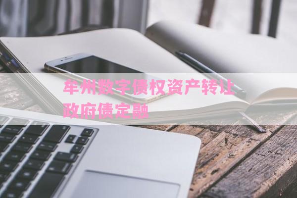 牟州数字债权资产转让政府债定融-第1张图片-经验预警网