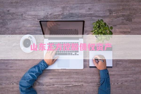 山东正方控股债权资产-第1张图片-经验预警网