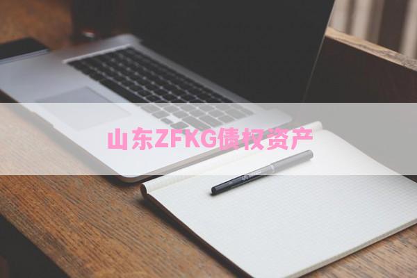 山东ZFKG债权资产-第1张图片-经验预警网