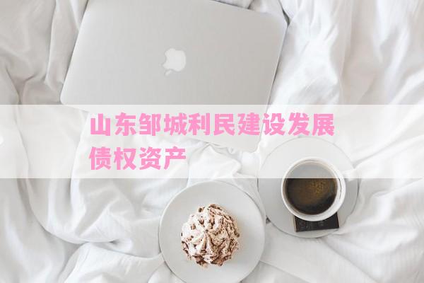 山东邹城利民建设发展债权资产-第1张图片-经验预警网