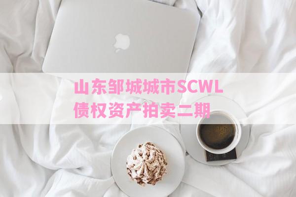 山东邹城城市SCWL债权资产拍卖二期-第1张图片-经验预警网