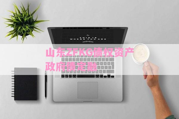 山东ZFKG债权资产政府债定融-第1张图片-经验预警网