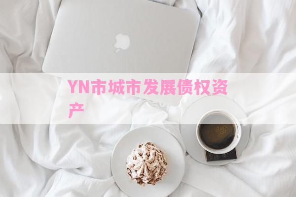 YN市城市发展债权资产-第1张图片-经验预警网