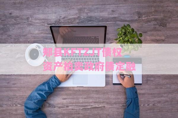 郏县KFTZJT债权资产拍卖政府债定融-第1张图片-经验预警网