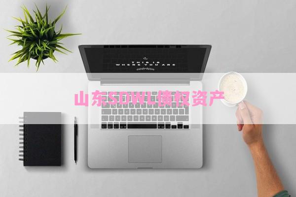 山东SDWL债权资产-第1张图片-经验预警网