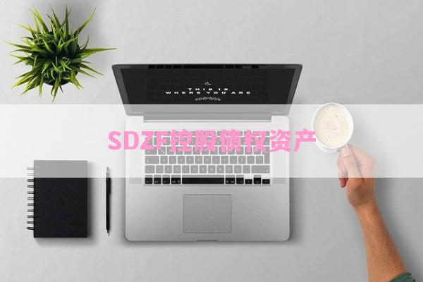 SDZF控股债权资产-第1张图片-经验预警网