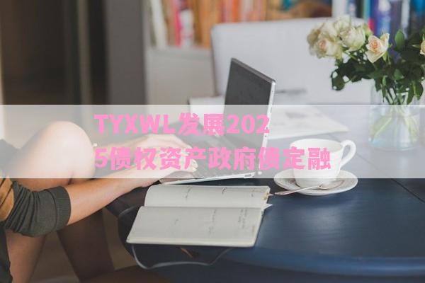 TYXWL发展2025债权资产政府债定融-第1张图片-经验预警网