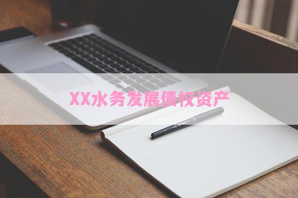 XX水务发展债权资产-第1张图片-经验预警网