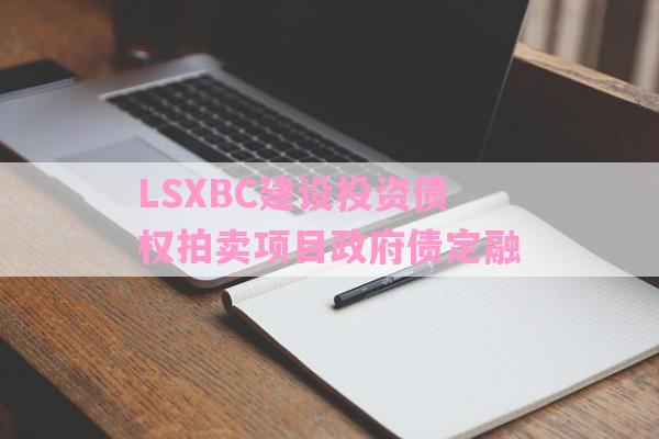 LSXBC建设投资债权拍卖项目政府债定融-第1张图片-经验预警网