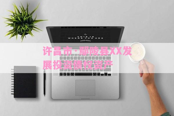 许昌市·鄢陵县XX发展投资债权资产-第1张图片-经验预警网