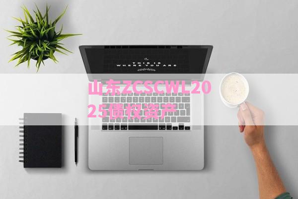 山东ZCSCWL2025债权资产-第1张图片-经验预警网