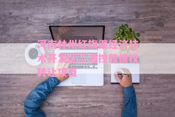 河南林州红旗渠经济技术开发区汇通控股债权转让项目-第1张图片-经验预警网