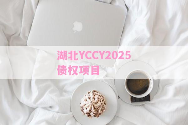 湖北YCCY2025债权项目-第1张图片-经验预警网