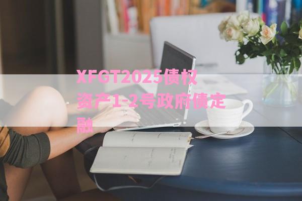 XFGT2025债权资产1-2号政府债定融-第1张图片-经验预警网