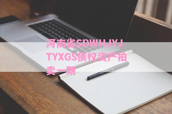 河南省SDWHJYJTYXGS债权资产拍卖一期-第1张图片-经验预警网