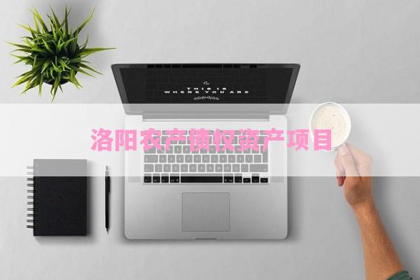 洛阳农产债权资产项目-第1张图片-经验预警网